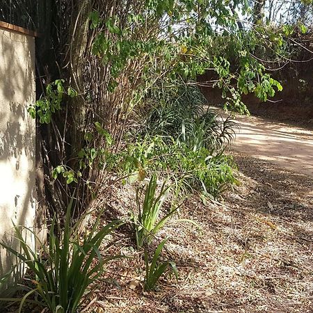 Sitio Alvorada - Paraiso Localizado No Circuito Das Aguas Paulista アンパロ エクステリア 写真