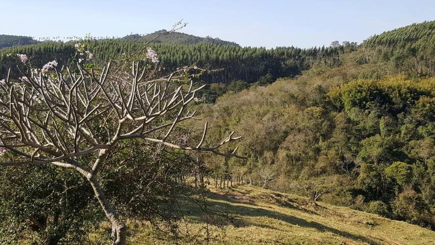 Sitio Alvorada - Paraiso Localizado No Circuito Das Aguas Paulista アンパロ エクステリア 写真